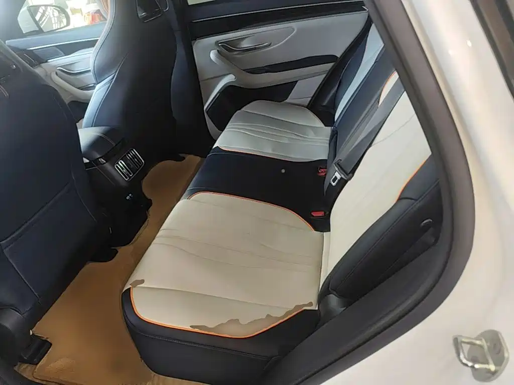 BYD PLUS New Energy — миниатюра 17