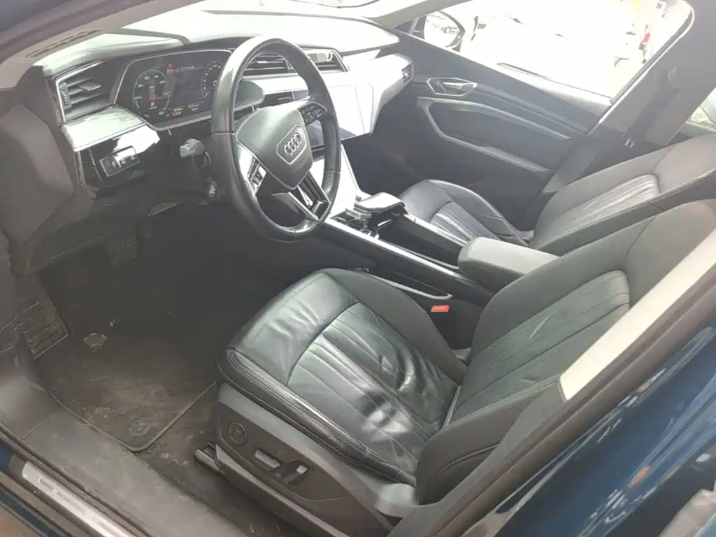 Audi e-tron (Import) — миниатюра 15