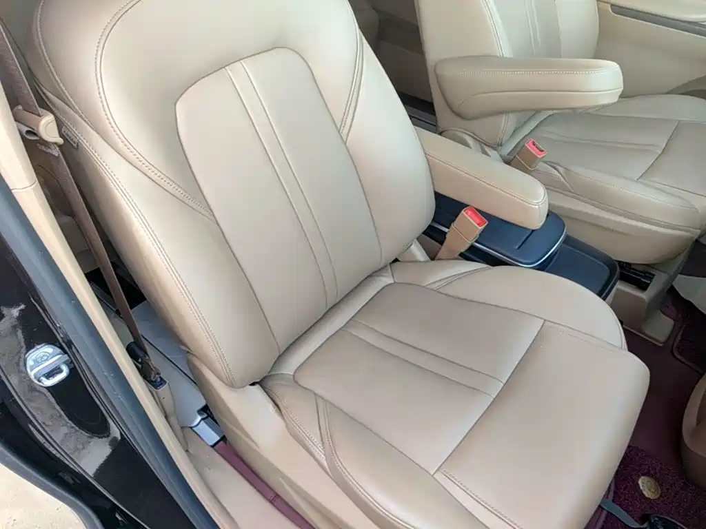 Buick GL8 — миниатюра 25