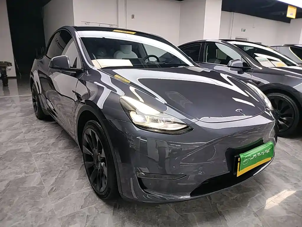 Tesla Model Y — миниатюра 4