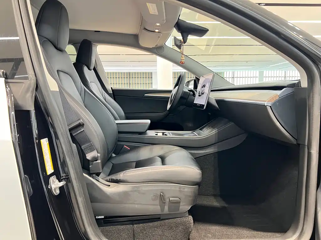 Tesla Model Y — миниатюра 7