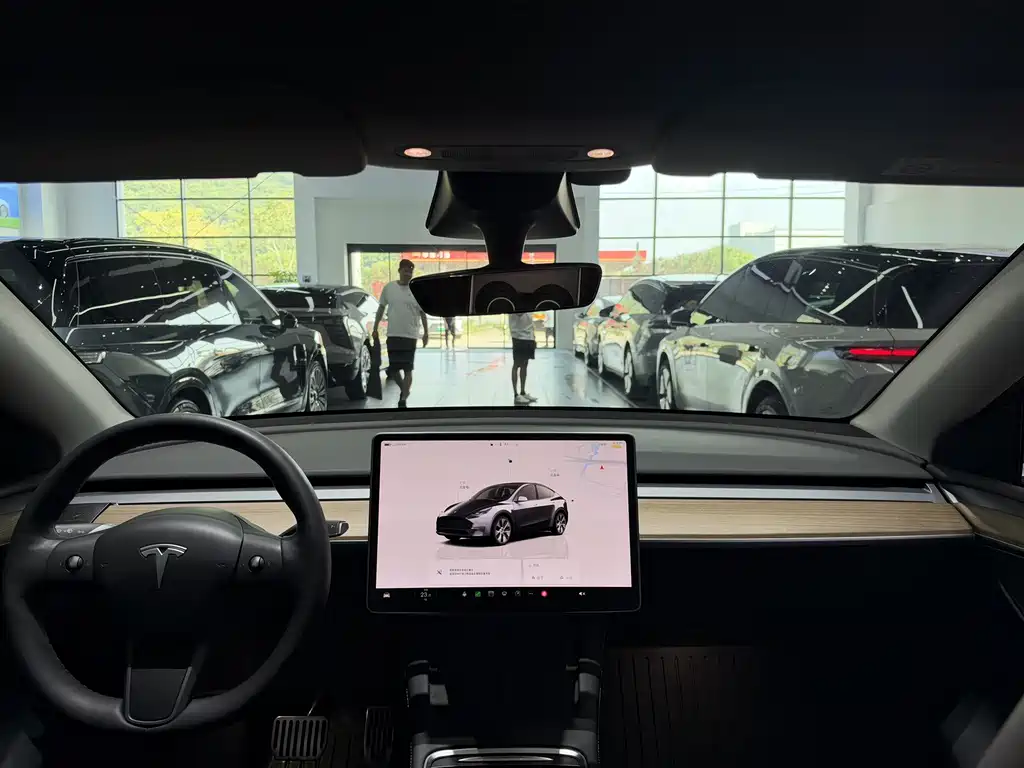 Tesla Model Y — миниатюра 3