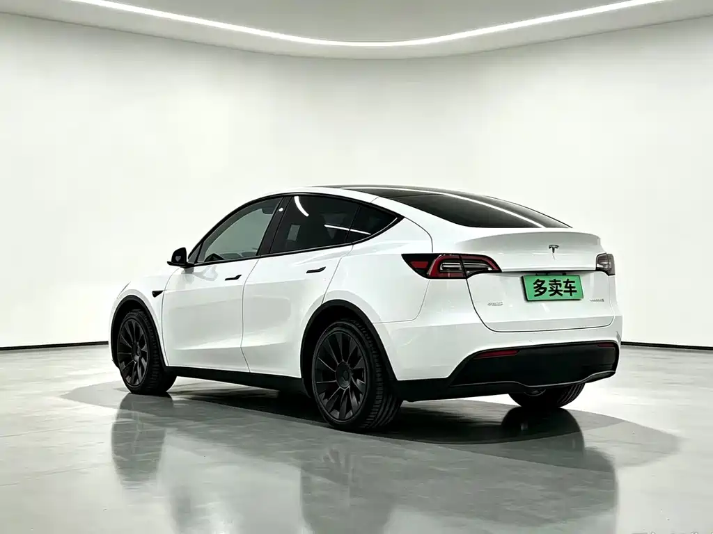 Tesla Model Y — миниатюра 9