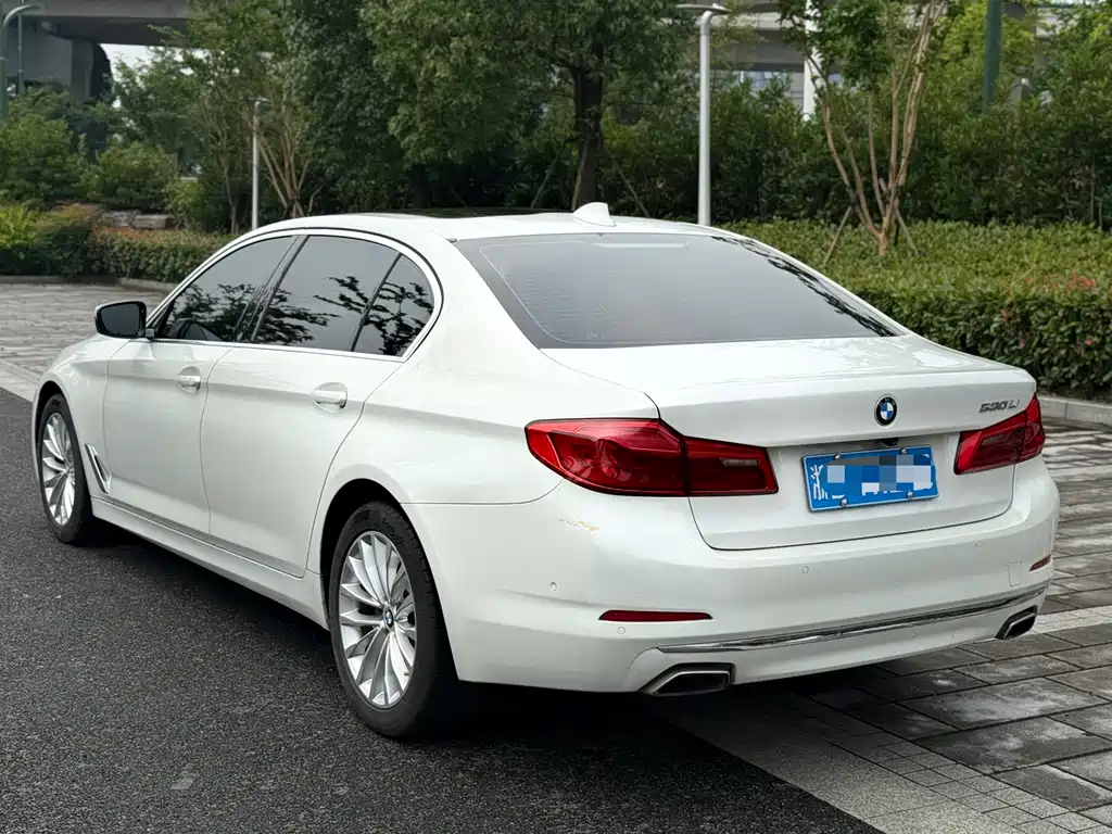 BMW 5 Series 5 2020 530Li Premium Luxury