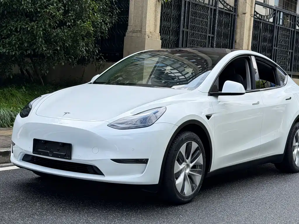 Tesla Model Y — миниатюра 11