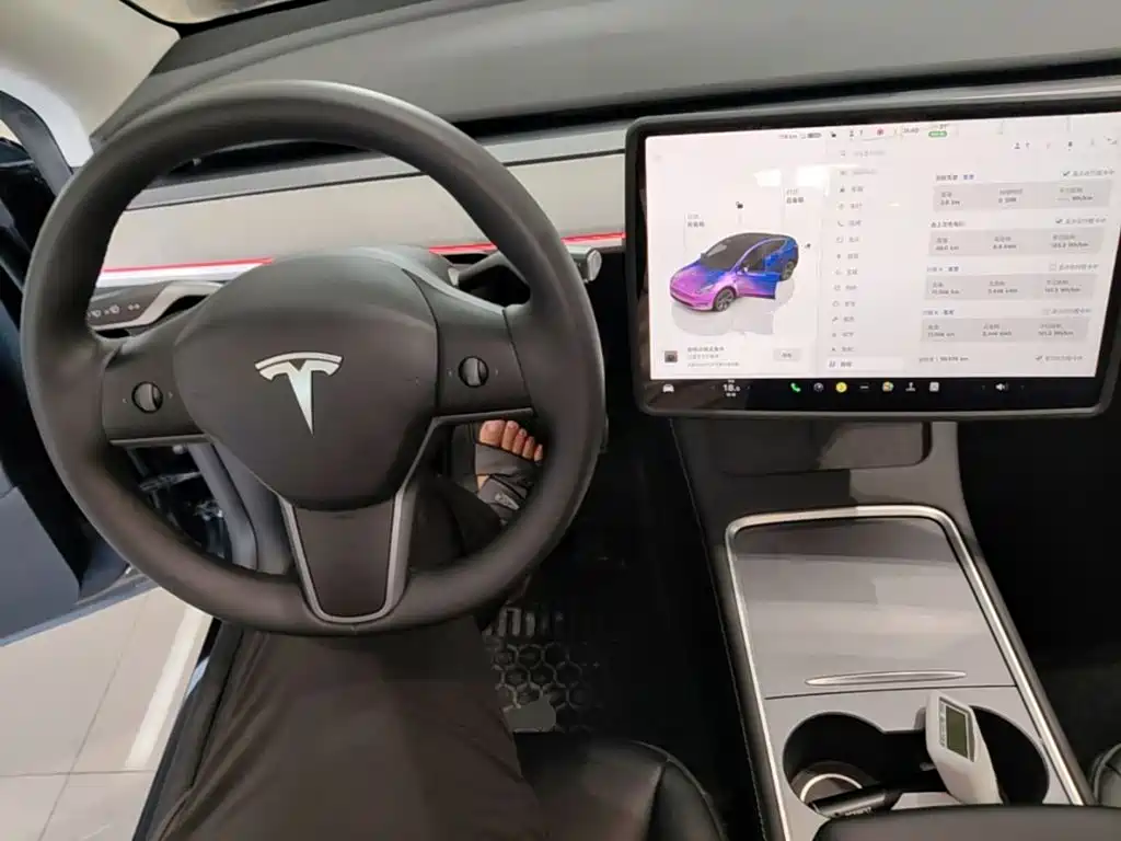 Tesla Model Y — миниатюра 10
