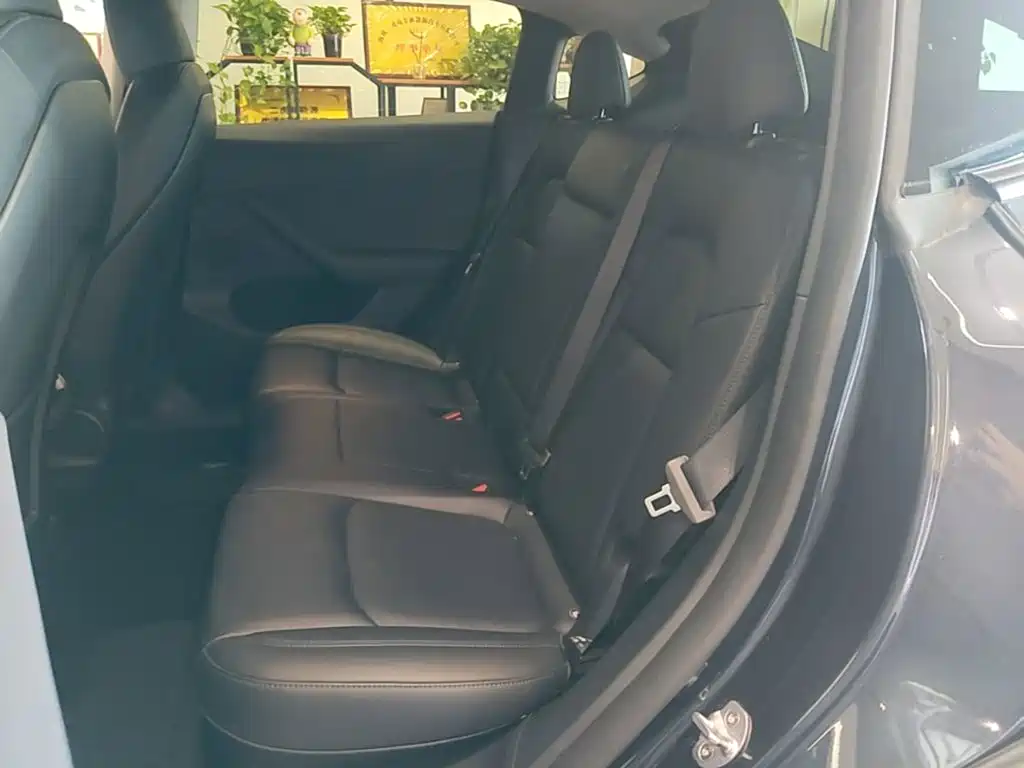 Tesla Model Y — миниатюра 17