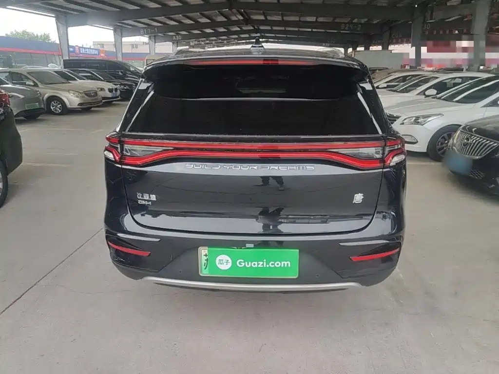 BYD Tang New Energy — миниатюра 6