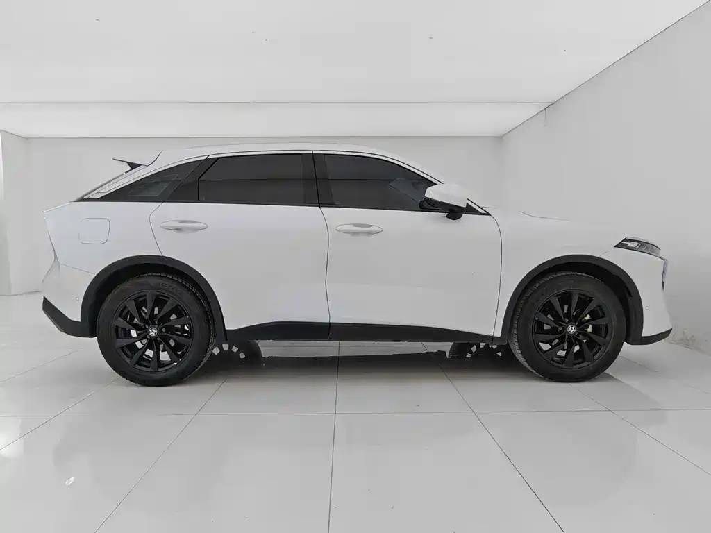 Venucia V 2022 260T