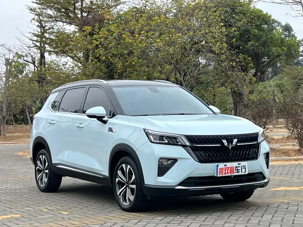 WULING WULING XINGCHEN