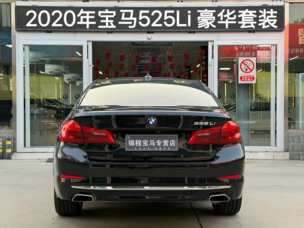 BMW 5 Series — миниатюра 4