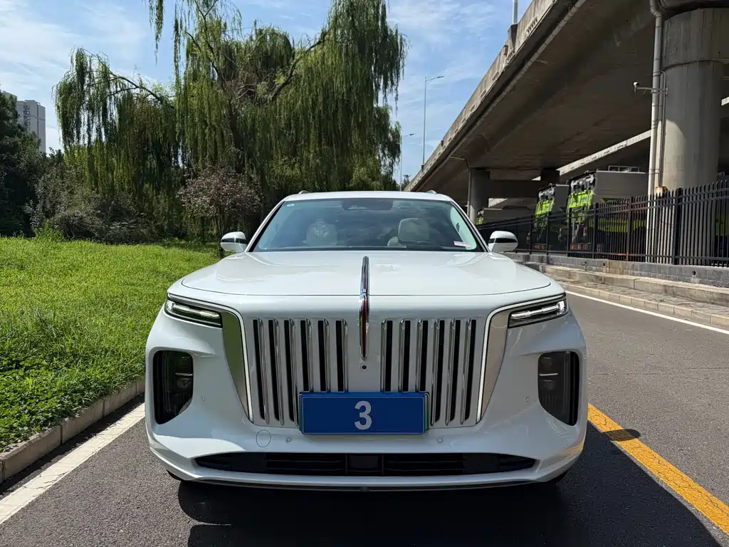 Hongqi Hongqi E-HS9 — миниатюра 2
