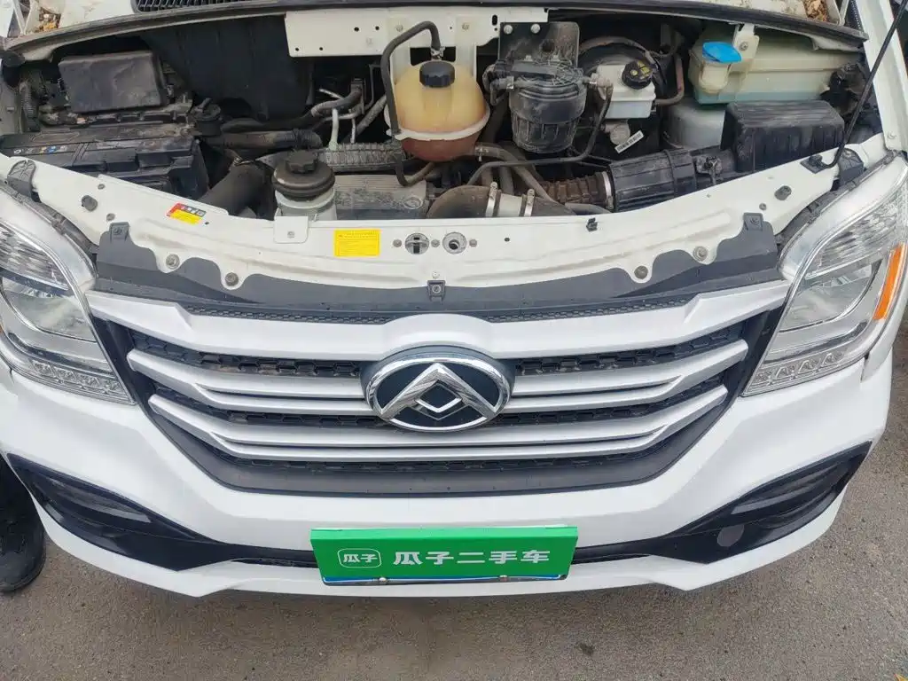 MAXUS V80 — миниатюра 11