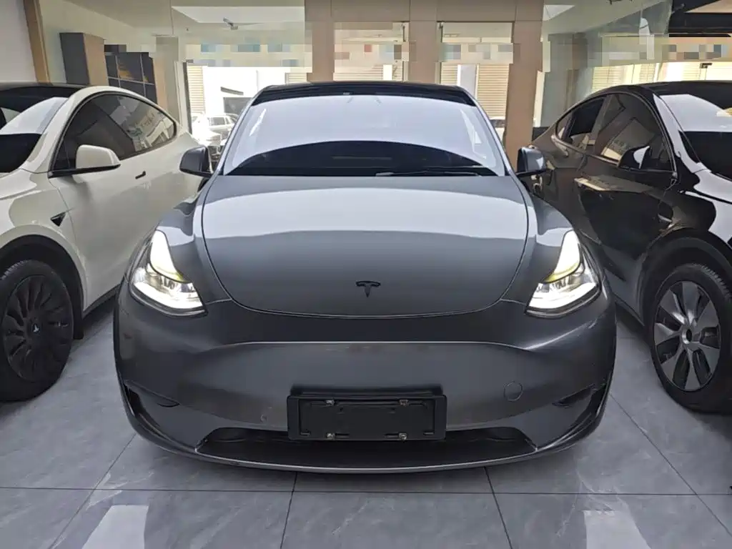 Tesla Model Y — миниатюра 3