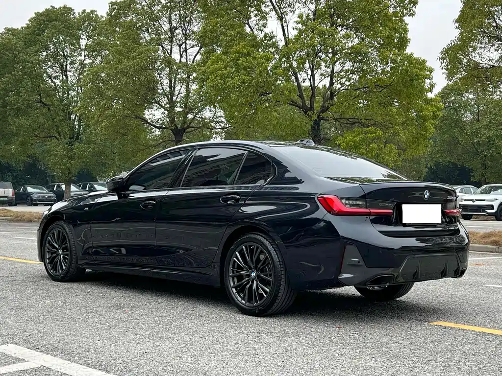 BMW 3 Series — миниатюра 16