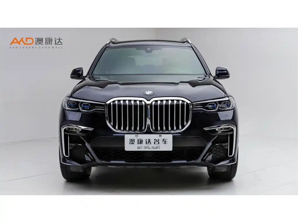 BMW X7 — миниатюра 2