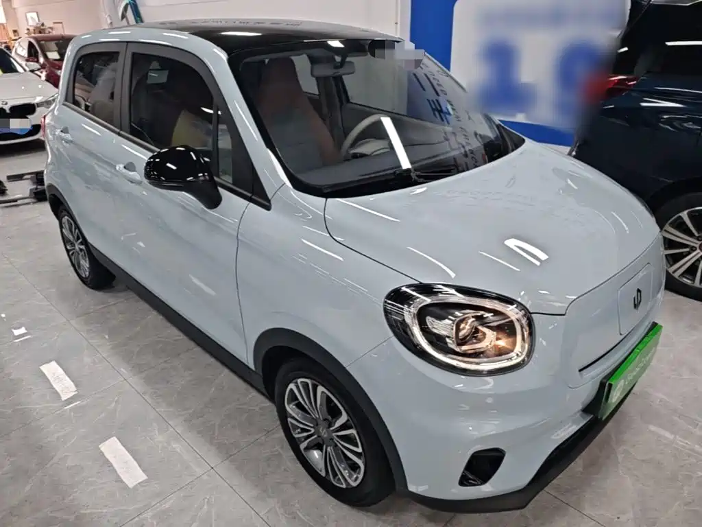 Leapmotor T03 2024 310