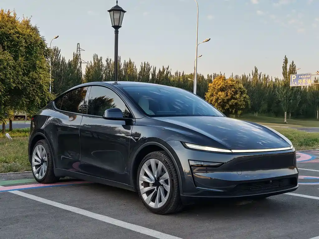 Tesla Model Y — миниатюра 3