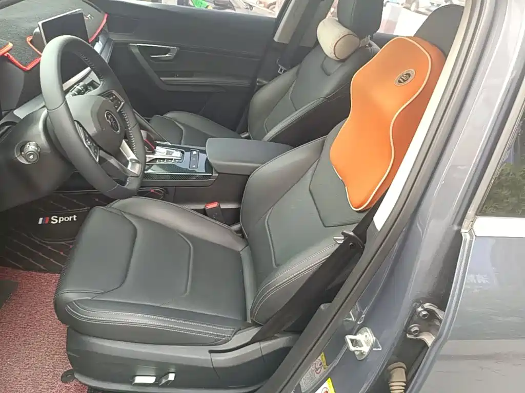 BYD Pro — миниатюра 15
