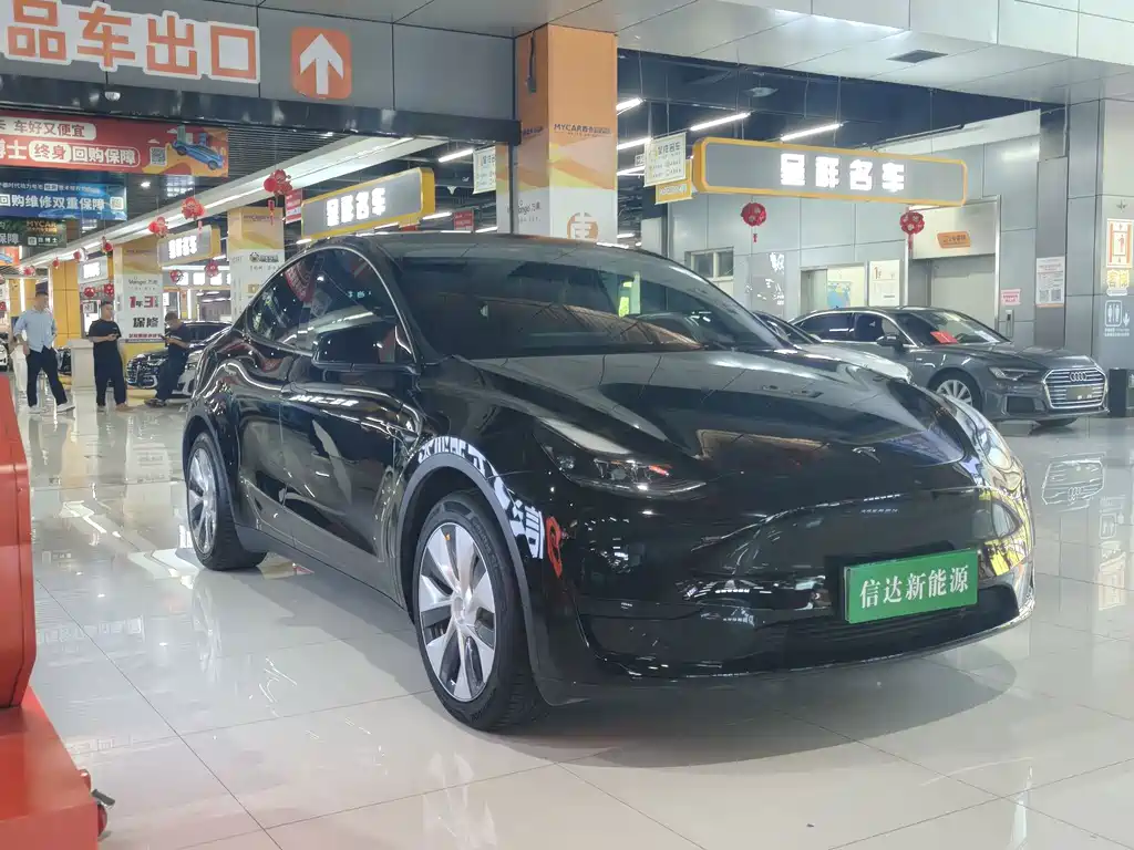Tesla Model Y — миниатюра 3