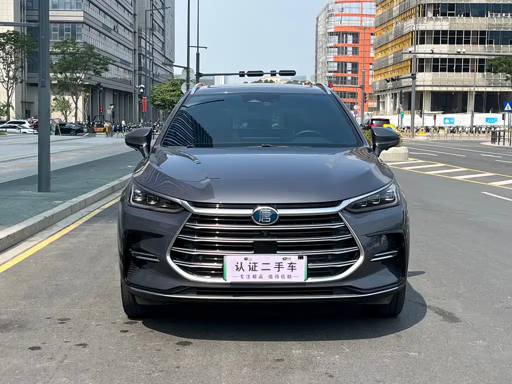 BYD Tang New Energy — миниатюра 2
