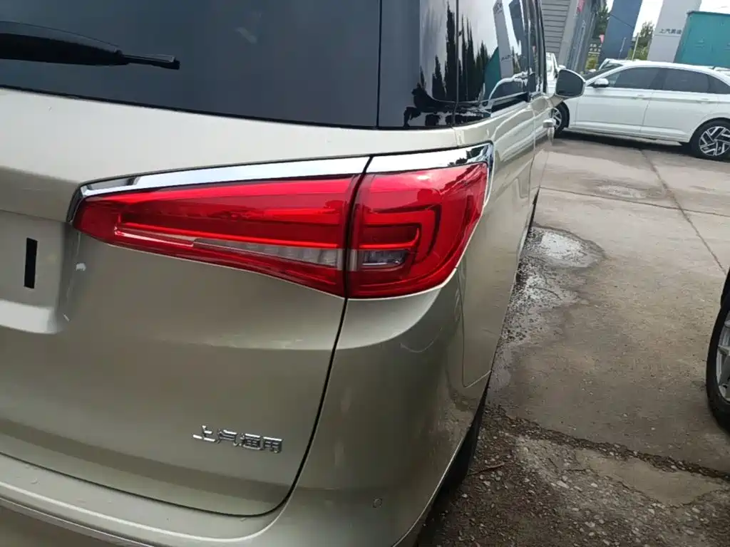 Buick GL8 — миниатюра 8