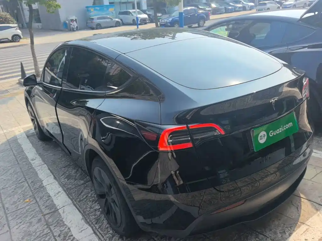 Tesla Model Y — миниатюра 5