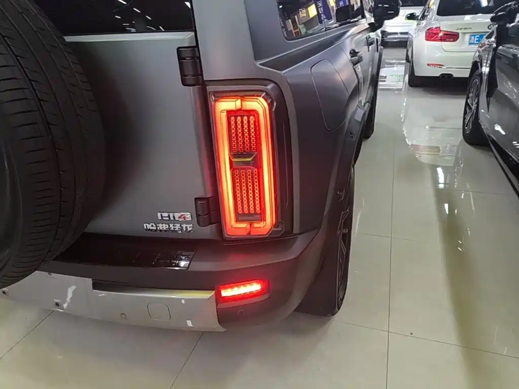 Haval Menglong New Energy — миниатюра 8