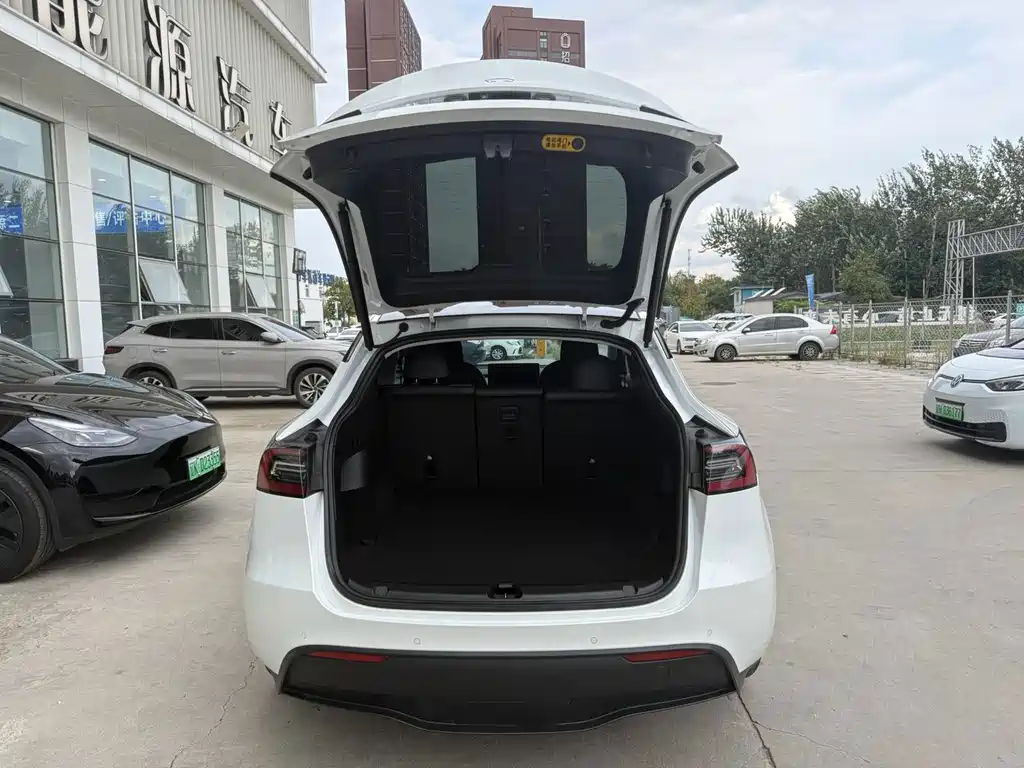 Tesla Model Y — миниатюра 12