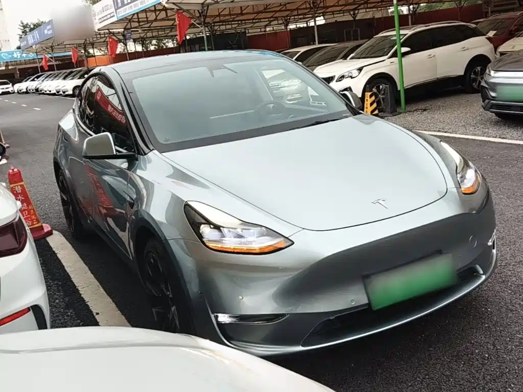 Tesla Model Y — миниатюра 4