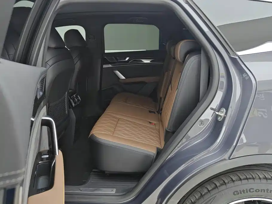 BYD Tang New Energy — миниатюра 11