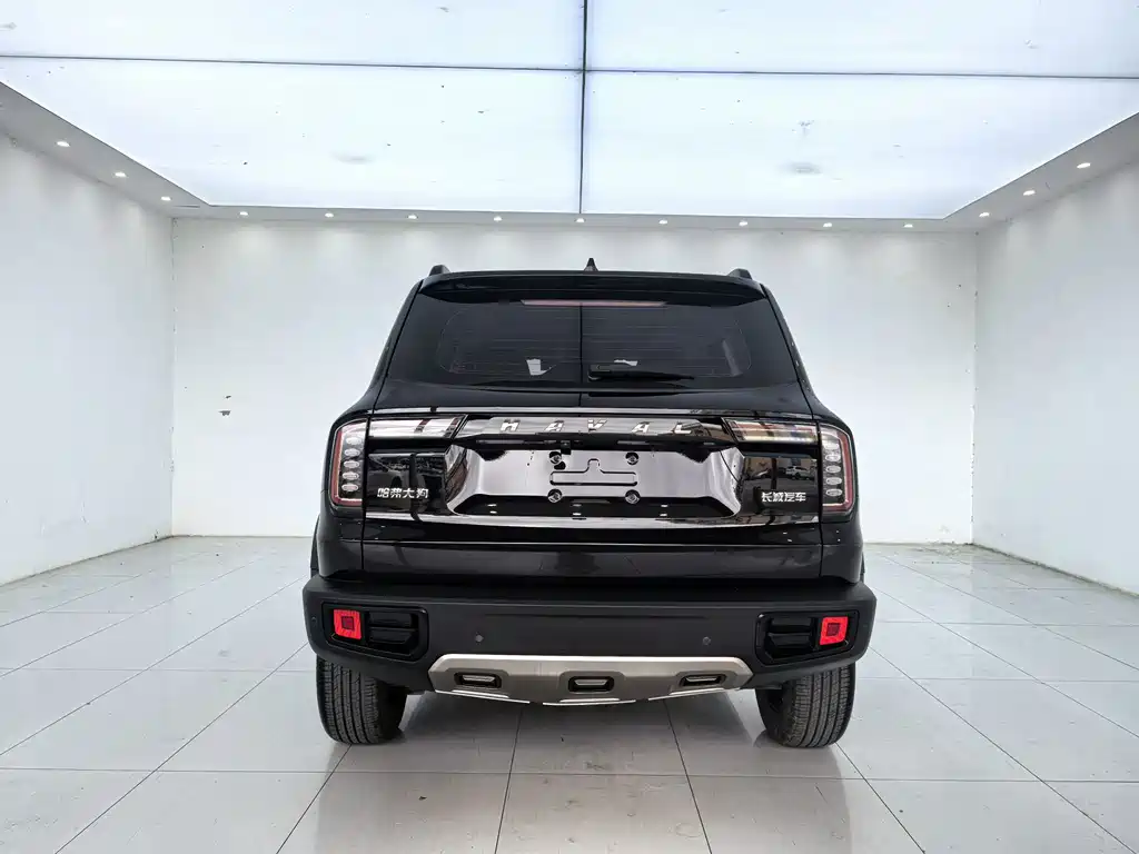 Haval Big Dog — миниатюра 11