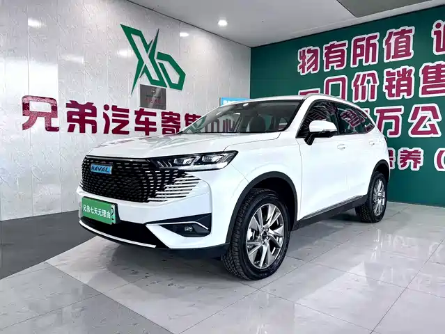 haval h6-new-energy
