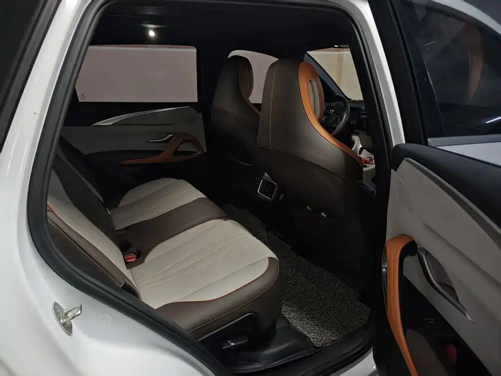 BYD Pro New Energy — миниатюра 6