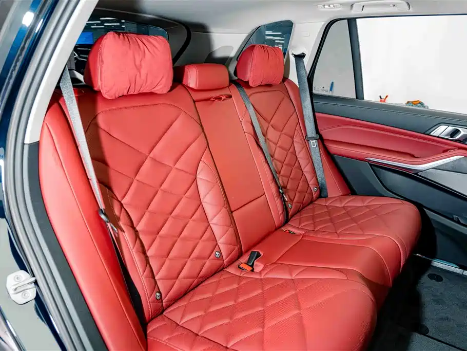 BMW X5 — миниатюра 24