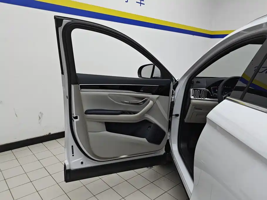 BYD PLUS New Energy — миниатюра 7