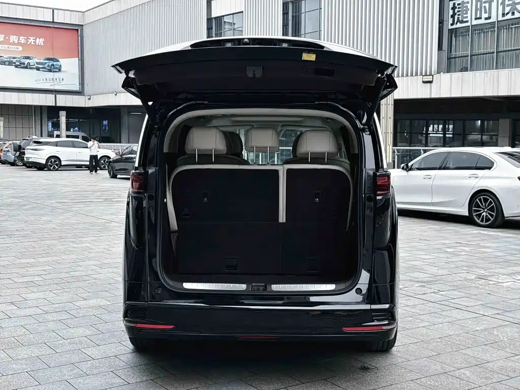 Denza Denza D9 — миниатюра 25