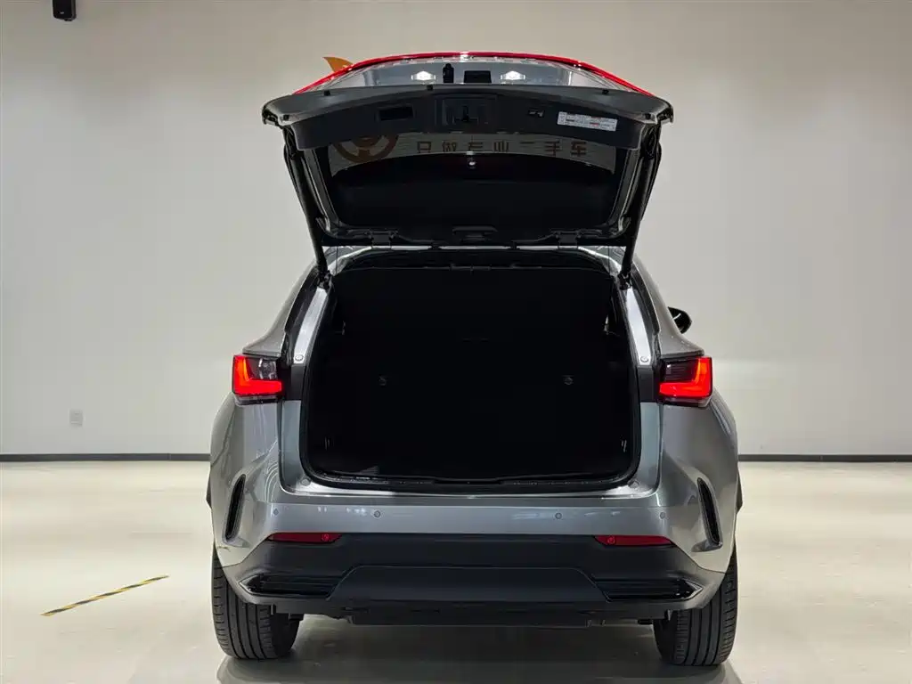 Lexus NX — миниатюра 6