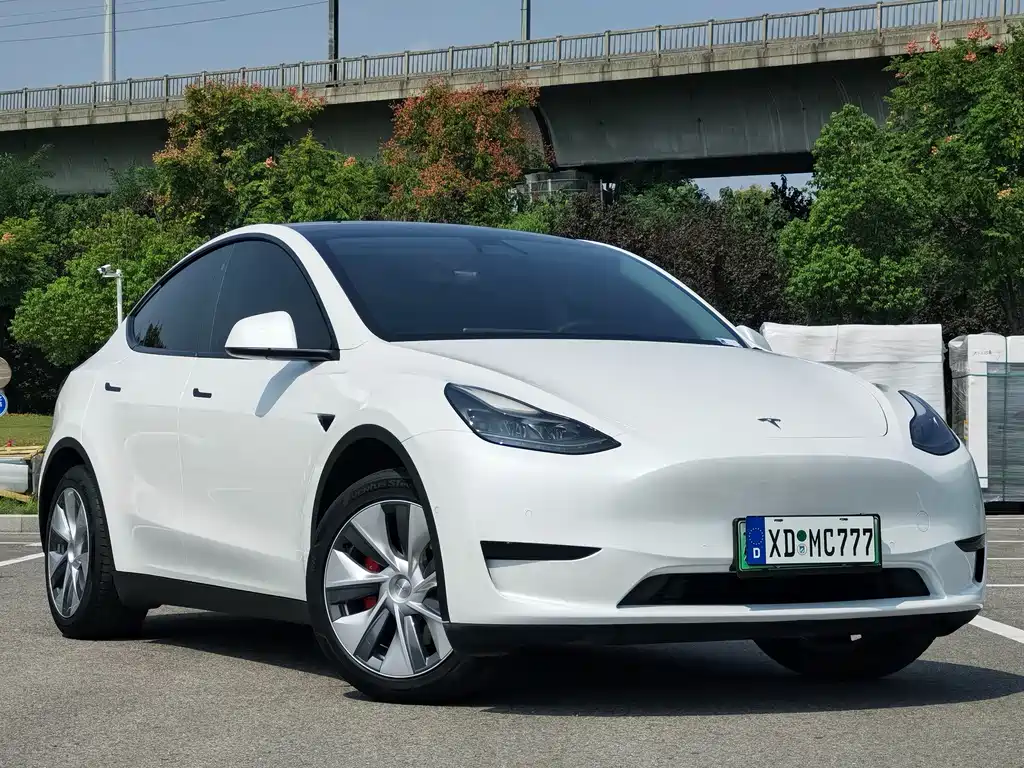 Tesla Model Y — миниатюра 4