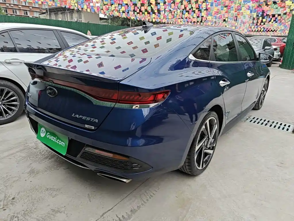 Hyundai Fista — миниатюра 7