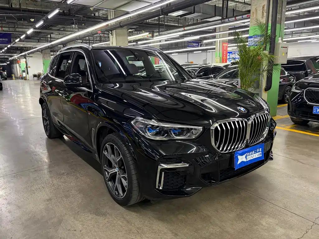 BMW X5 — миниатюра 2