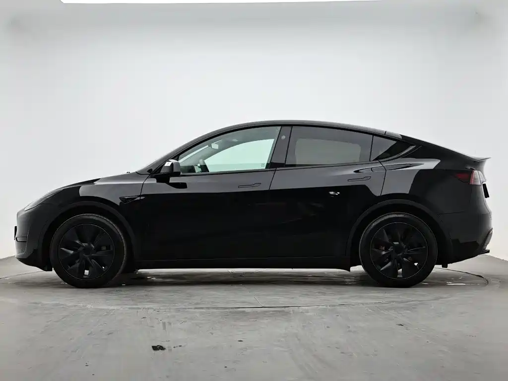 Tesla Model Y — миниатюра 6