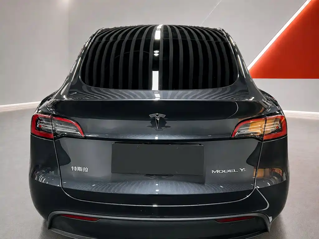 Tesla Model Y — миниатюра 5