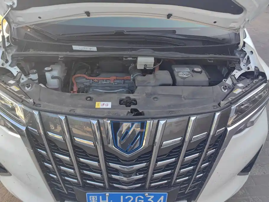 Toyota Alphard — миниатюра 10