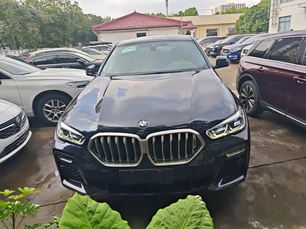 BMW X6 — миниатюра 3