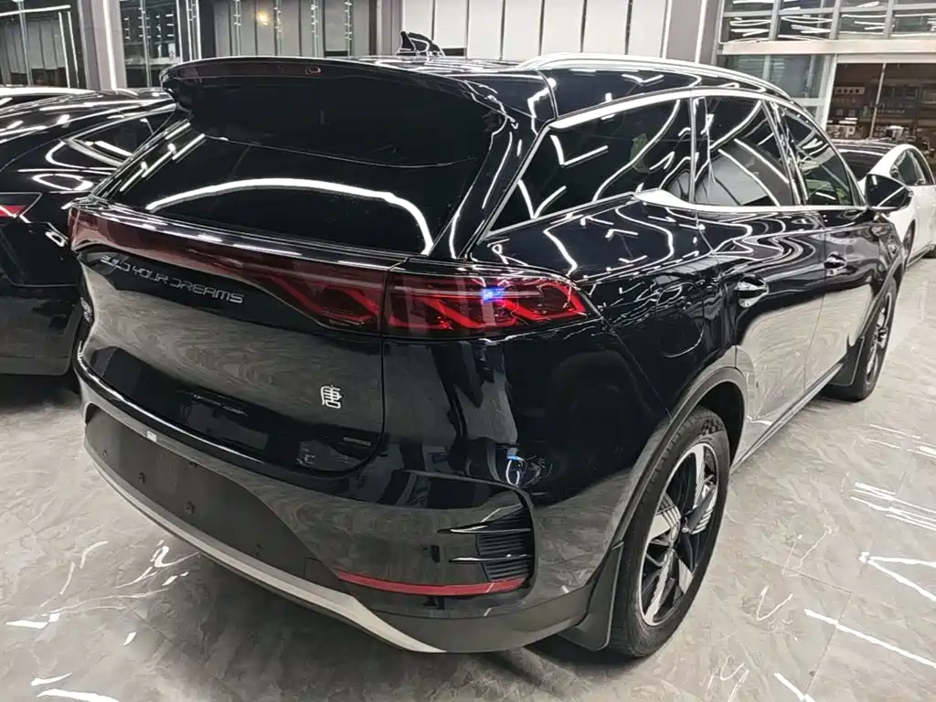 BYD Tang New Energy — миниатюра 7