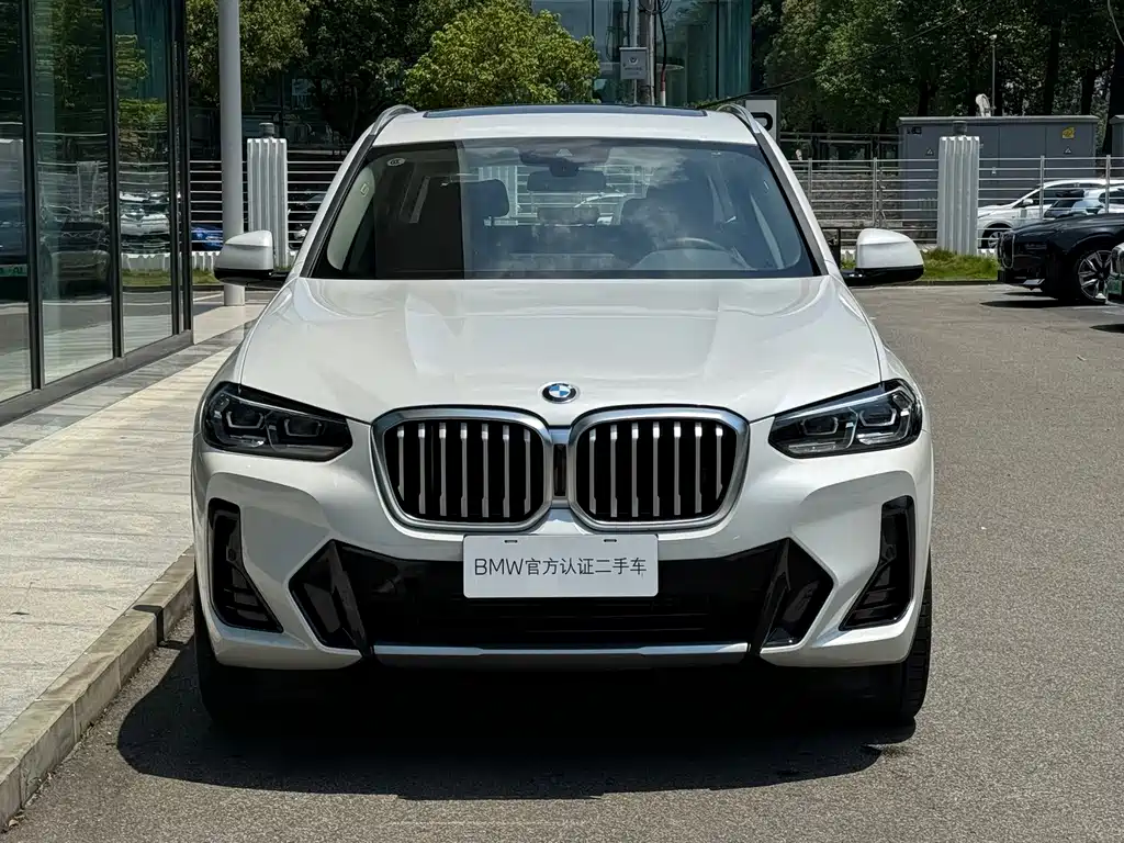 BMW X3 — миниатюра 2