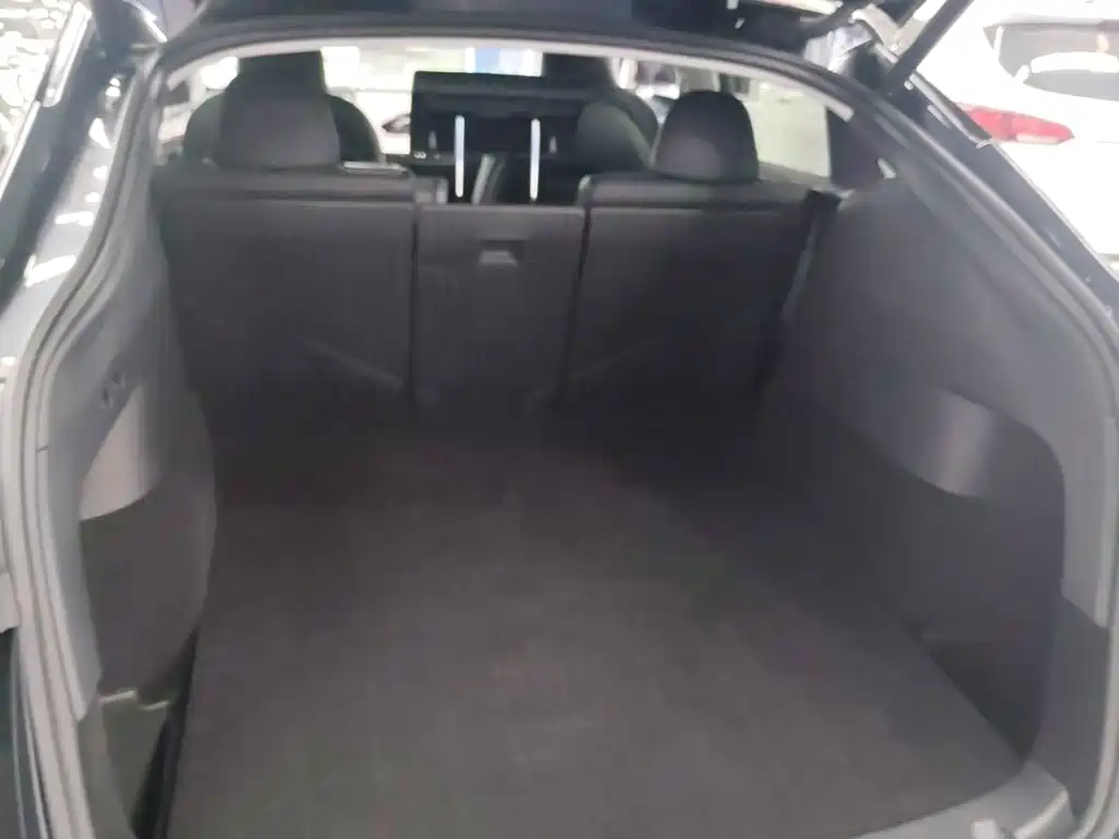 Tesla Model Y — миниатюра 19