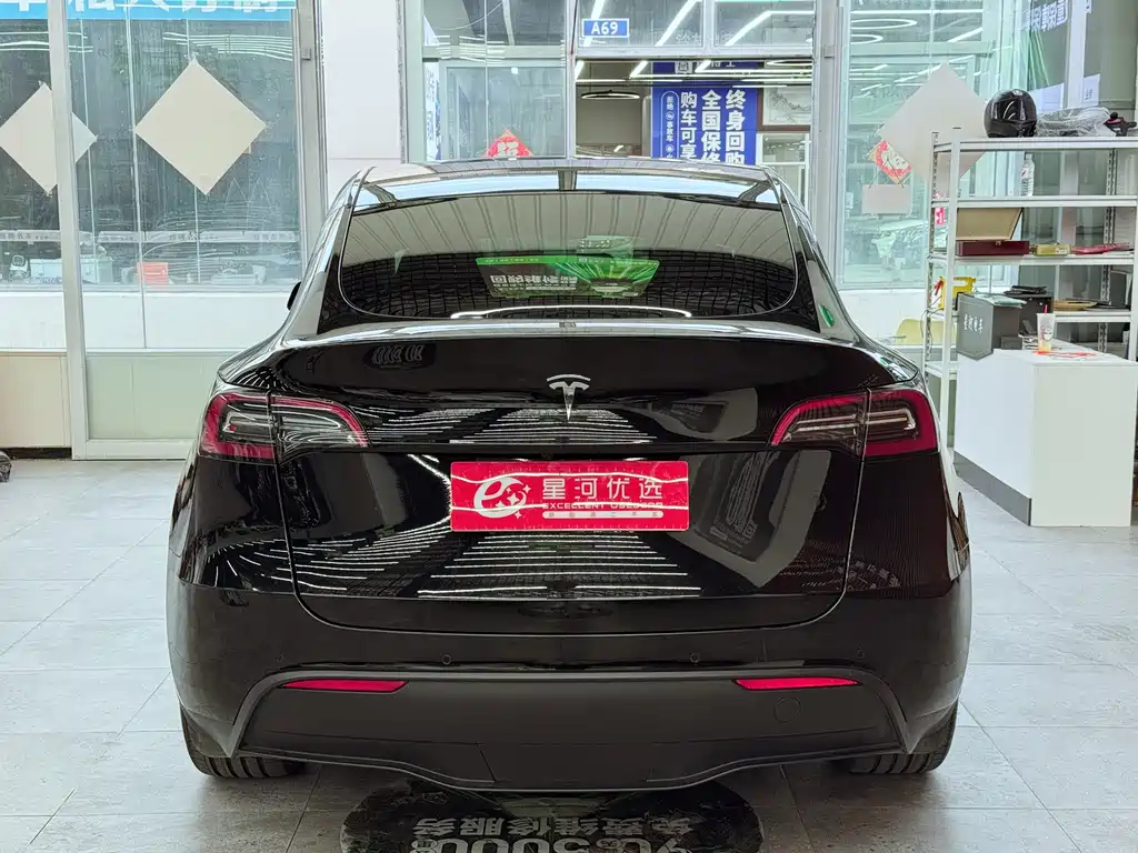 Tesla Model Y — миниатюра 6
