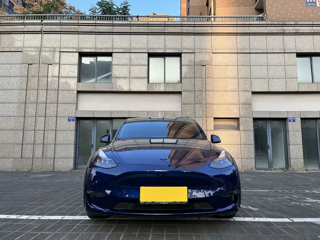 Tesla Model Y — миниатюра 3